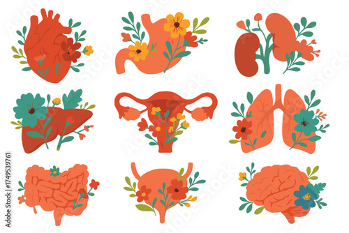 Stylized human internal organs set including heart, brain, lungs, and stomach decorated with colorful blooming flowers