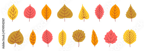 Set of diverse autumn leaves in yellow, red, brown, and orange colors. Foliage of linden, birch, poplar, aspen, elm, and others, isolated on white. Fall background, leaf icons. Vector illustration