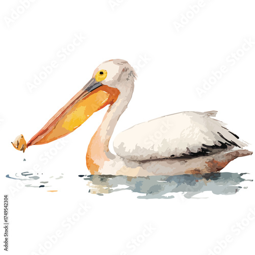 yuniazizah__watercolor_illustration_of_Pelican_scooping__clip_32990668-44d8-4130-8050-99e71c44e8da_0