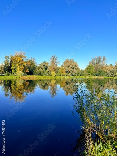 autumn trees reflection on the lake surface in the park, clear blue sky