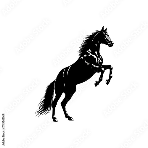 Black horse rearing up on hind legs against white background