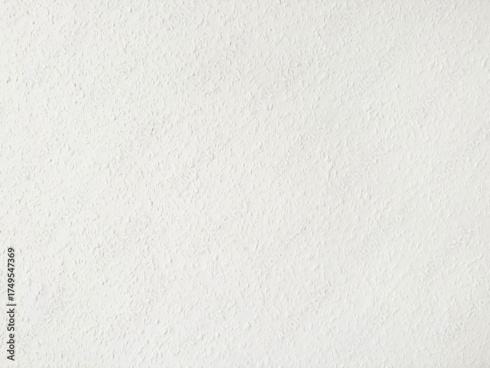 Fototapeta premium White Raufaser Wallpaper Texture