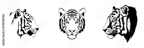 Set of Three Striking Black and White Tiger Head Illustrations in Front and Profile Views for Sport Mascots and Wildlife Logos


