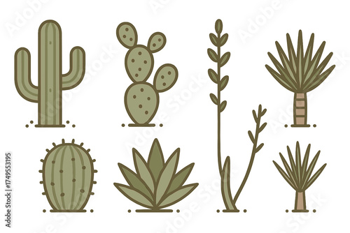 Various desert flora and succulent cacti species rendered in a modern stylized flat design