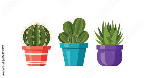 Collection of three potted succulents and cacti.
