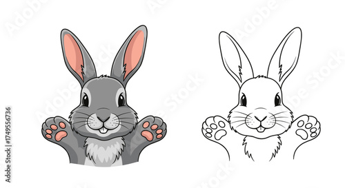 A cute grey bunny is peeking with its paws held up.