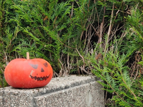Halloween ornament - Pumpkin on a wall