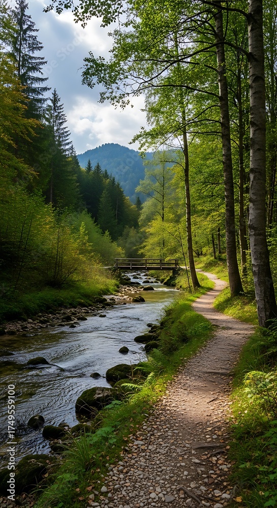 Fototapeta premium Tranquil Forest Stream - A Path to Serenity and Natural Beauty.