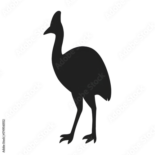 Cassowary silhouette vector style