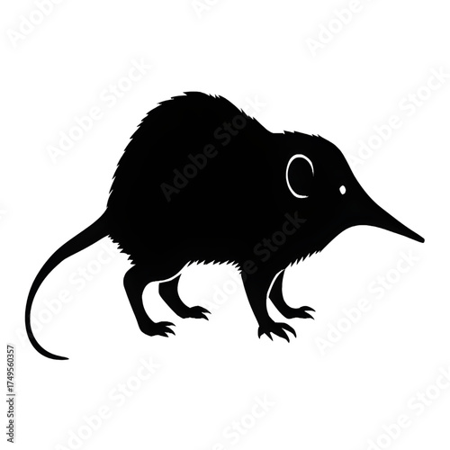Solenodon silhouette vector style