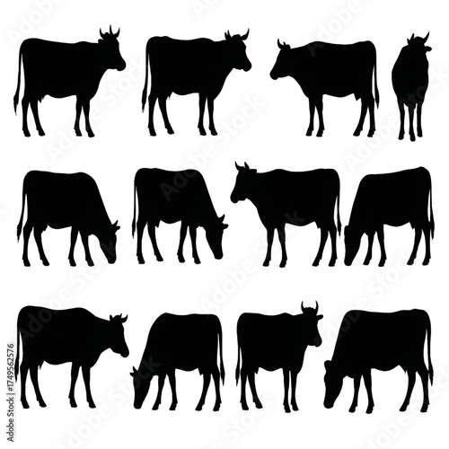 Cow set silhouette vector style