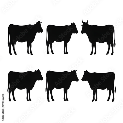 Cow set silhouette vector style