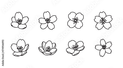 Collection of delicate hand-drawn floral elements perfect for springtime designs and artistic projects vector