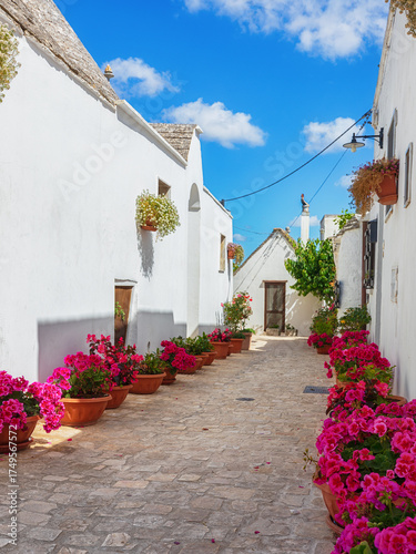 Alley  with bright red flowers and whitewashed old houses.