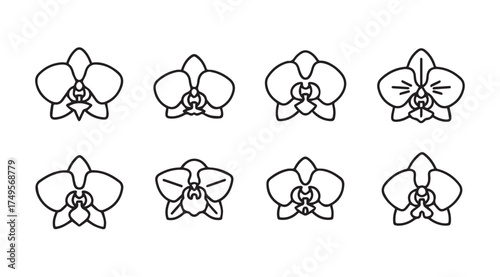 Set of eight hand drawn orchid flower sketches isolated on white for floral design elements vector