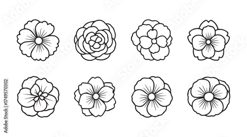 Set of eight hand-drawn stylized floral elements with detailed petals for decoration vector