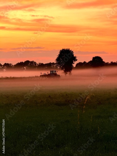fantastic orange sky at the field, foggy sunset, trees silhouettes at the fog, farmland