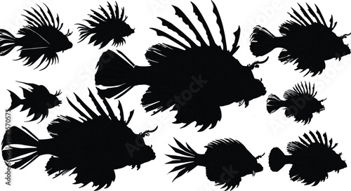 Silhouette of lionfish underwater, exotic marine fish with spiky fins, tropical ocean wildlife illustration, aquatic nature, dangerous reef predator vector