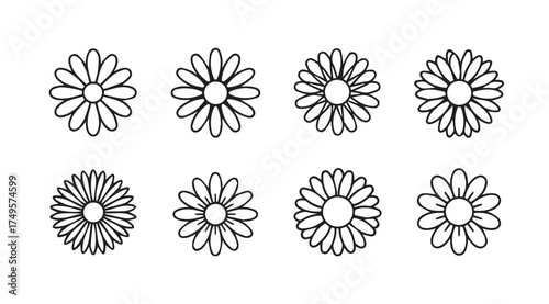 Collection of eight hand drawn daisy flowers with delicate sketchy lines and petals vector