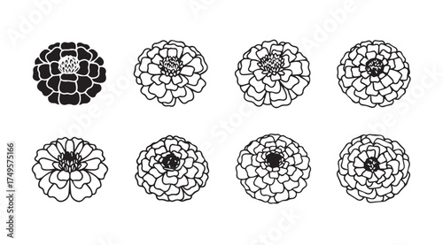 Collection of delicate hand-drawn floral elements diverse flower bud designs for artistic projects vector