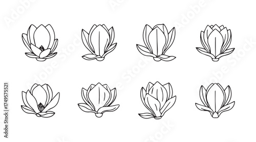 Hand drawn magnolia flower sketches collection elegant botanical art for design projects vector