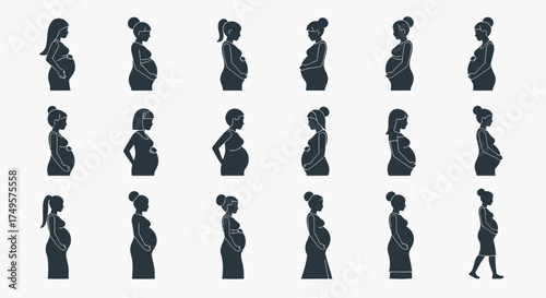 A collection of silhouette illustrations showing pregnant women in various poses and hairstyles, all facing left.