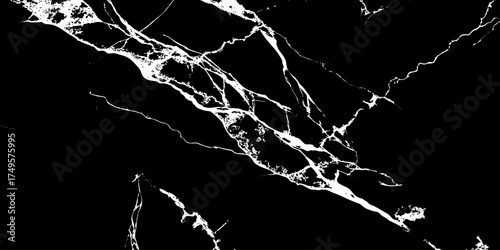 "High-contrast black marble with striking white veins, elegant natural stone background suitable for digital artwork, luxury packaging, architecture, and product design"