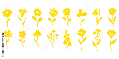 Collection of flower silhouettes. Flowers and plants set silhouette on a white background.
