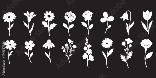 Collection of flower silhouettes. Flowers and plants set silhouette on a white background.