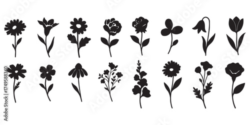 Collection of flower silhouettes. Flowers and plants set silhouette on a white background.