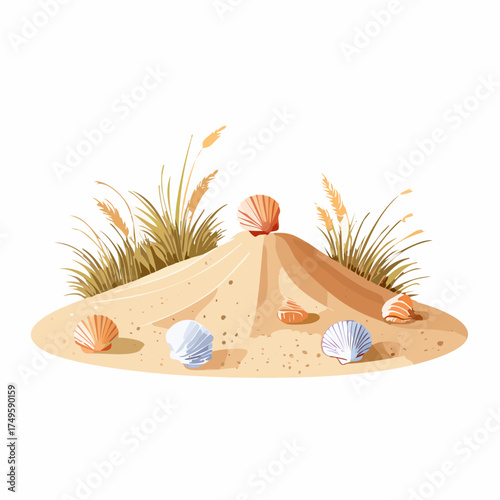 Artistic illustration of seashells and sand dune with beach grass white background
