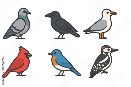 Six common North American bird icons: pigeon, crow, seagull, cardinal, bluebird, woodpecker