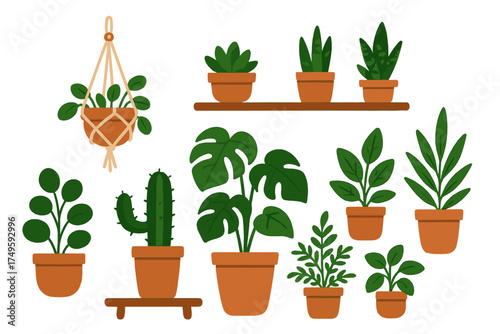 Collection of various potted houseplants including succulents and tropical foliage