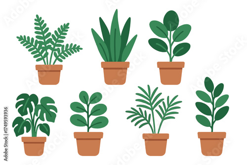 Assortment of green potted houseplants in terracotta containers
