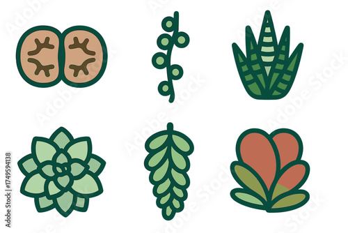 Set of six stylized succulent and botanical icons in green and earth tones