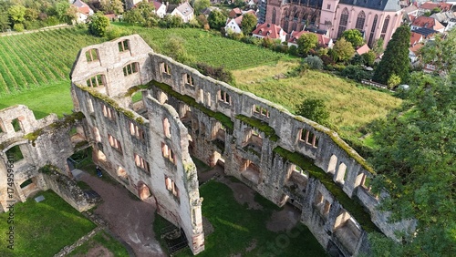 Photos Ruine Landskron bei Oppenheim