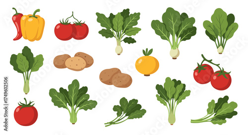A vibrant collection of fresh vegetables including leafy greens potatoes tomatoes peppers and onions.