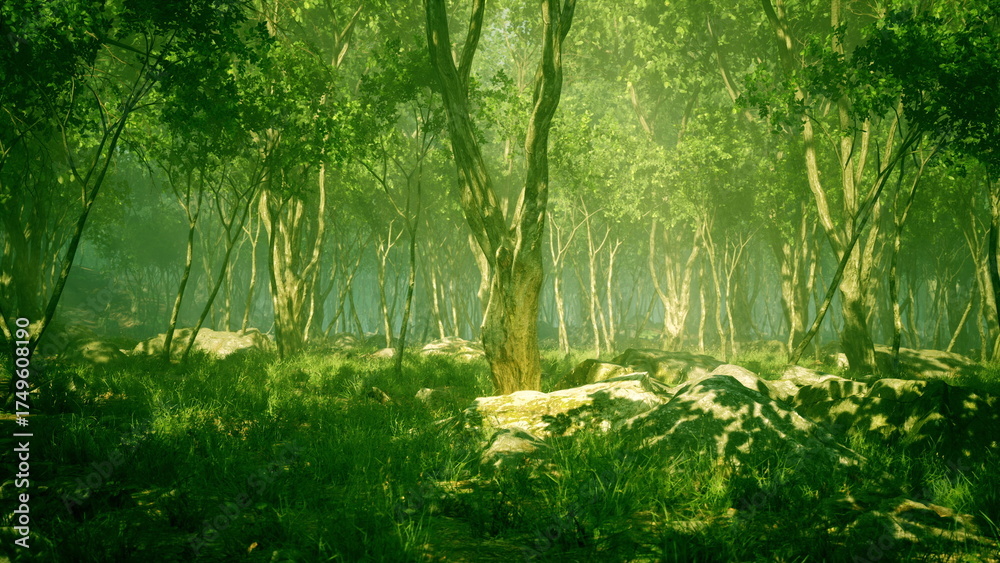 Fototapeta premium Sunlight streams through the dense canopy of a lush forest, illuminating the vibrant green leaves and creating a serene atmosphere. A tranquil scene for nature lovers.