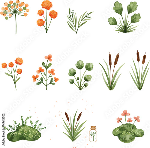 Watercolor Botanical Set with Orange and Greenery