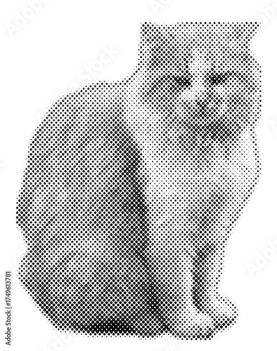 Cat halftone pop retro y2k sticker retro emotion face, pet meme cat, 