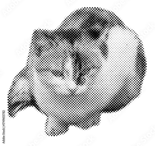Cat halftone pop retro y2k sticker retro emotion face, pet meme cat, 
