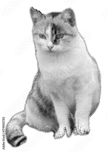 Cat halftone pop retro y2k sticker retro emotion face, pet meme cat, 