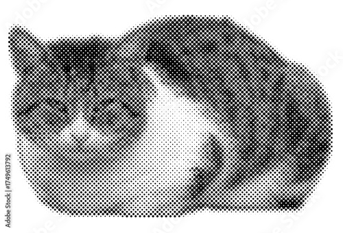 Cat halftone pop retro y2k sticker retro emotion face, pet meme cat, 
