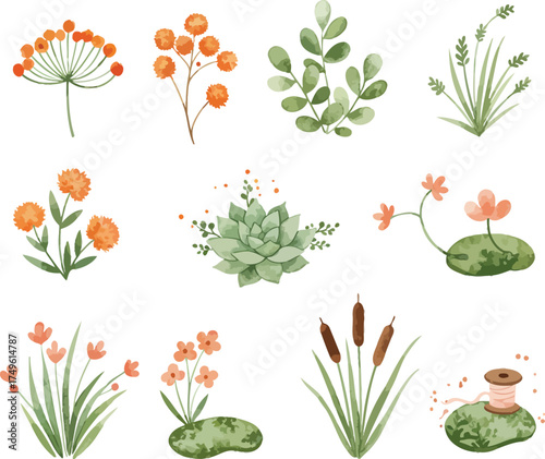 Watercolor floral elements collection with plants