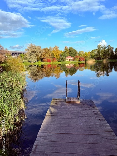 autumn trees reflection on the blue lake surface, autumn lake in the park