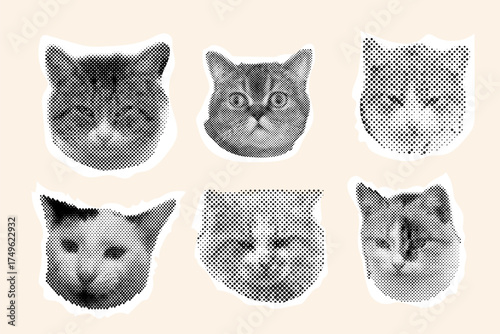 Cat head halftone collage sticker set, trendy collection portrait retro y2k pet, funky emoticon animal, pop aesthetic. Meme head with speech bubble. Funny kitty.