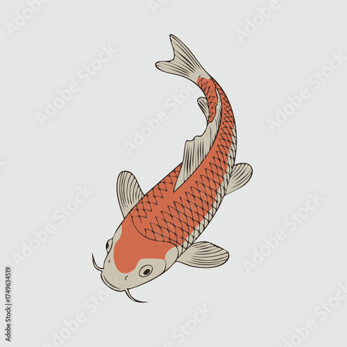 Elegant Koi Carp Illustration with Intricate Scale Detail and Graceful Fins.