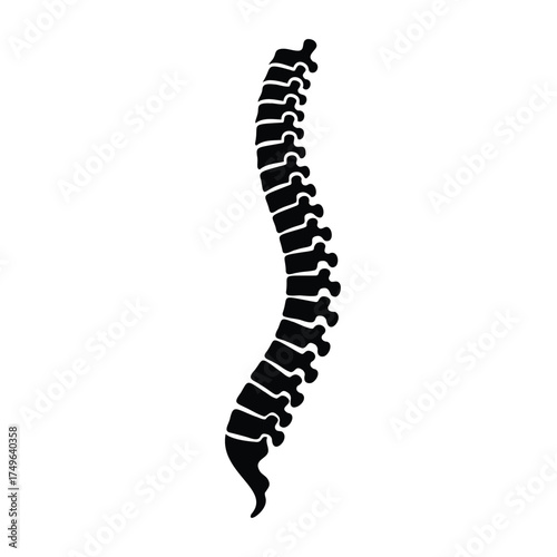 Human spine silhouette skeleton anatomy