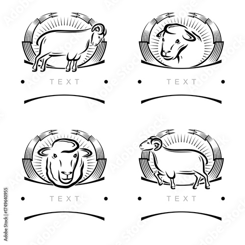 Sheep labels and icon set. Collection icons sheep. Vector