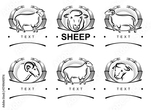 Sheep labels and icon set. Collection icons sheep. Vector